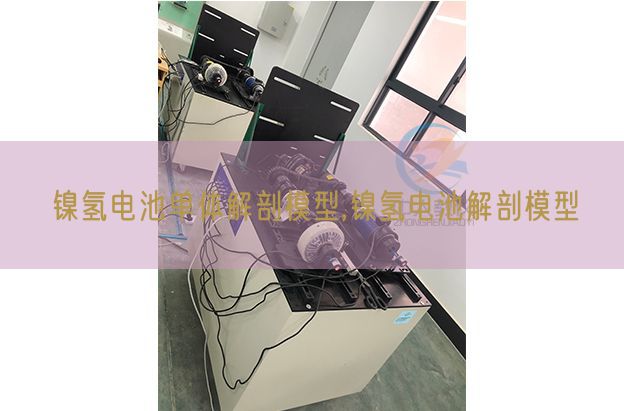 镍氢电池单体剖解模子,镍氢电池剖解模子(图1) 镍氢电池单体剖解模子,镍氢电池剖解模子(图1)